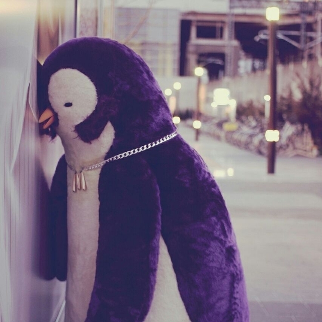 20201205_153126.jpg