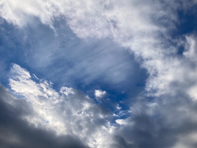 751277E4-72A9-4745-9920-8CF8C7134A33.jpeg