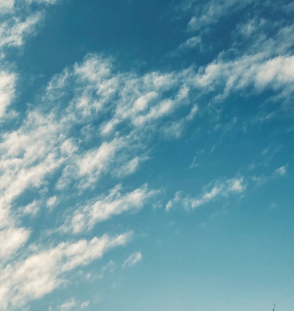 A47A38A1-B75B-4A2B-924B-0A247F4B049A.jpeg